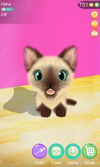 Screenshot 13: AR Cat
