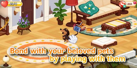Screenshot 20: Hellopet House