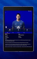 Screenshot 14: Everton