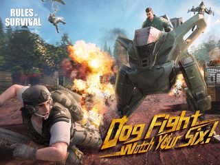 Screenshot 14: RULES OF SURVIVAL