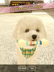 Screenshot 22: with My DOG
