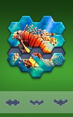 Screenshot 12: Hexa Jigsaw Puzzle ®