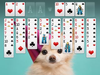Screenshot 12: FreeCell Solitaire