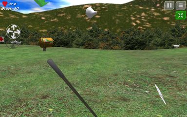 Screenshot 11: Chicken Tournament Demo