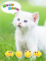 Screenshot 9: Cute animal pictures & animal