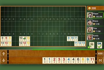 Screenshot 5: Rummy - Offline Free Board Game