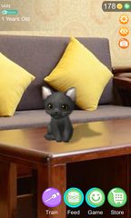 Screenshot 16: AR Cat