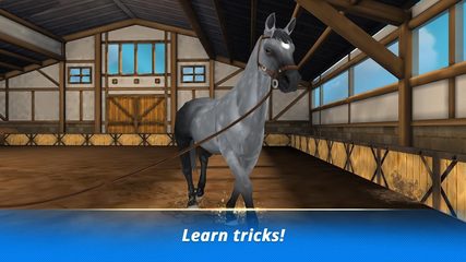 Screenshot 4: Horse Hotel - care for horses