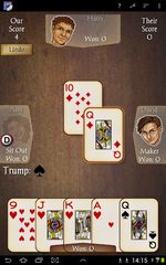 Screenshot 17: Euchre
