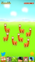 Screenshot 3: Alpaca Evolution Begins