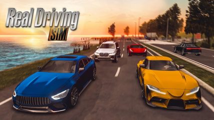 Screenshot 1: Real Driving Sim