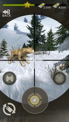 Screenshot 14: Wilderness Hunting：Shooting Prey Game