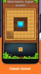 Screenshot 10: Wood Block Puzzle King