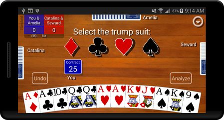 Screenshot 4: Pinochle Classic