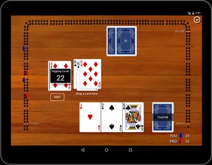 Screenshot 18: Cribbage Classic