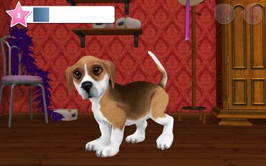 Screenshot 16: DogWorld - my cute puppy