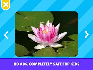 Screenshot 14: Flashcards Toddler Games for 2 and 3 Year Olds
