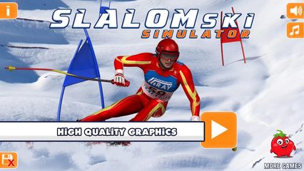 Screenshot 13: Slalom Ski Simulator