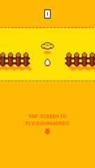 Screenshot 18: Chicken Crash