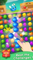 Screenshot 9: Fruit Fancy