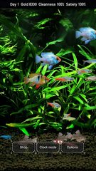 Screenshot 5: Tropical Fish Tank - Mini Aqua