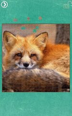 Screenshot 12: Fox Jigsaw Puzzles