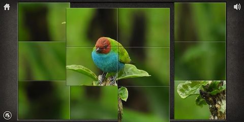 Screenshot 13: Movie puzzle - video jigsaw