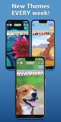 Screenshot 5: Spider Solitaire Deluxe® 2