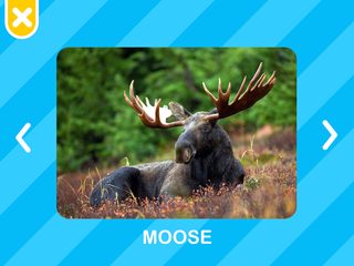 Screenshot 15: Flashcards Toddler Games for 2 and 3 Year Olds