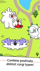 Screenshot 3: Corgi Evolution: Shiba Dogs