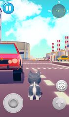 Screenshot 11: Talking Husky Dog