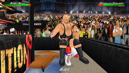 Screenshot 8: Wrestling Revolution 3D