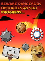 Screenshot 13: Basket Fall