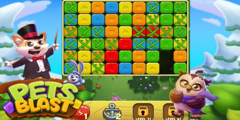 Screenshot 1: Pet Blast 2021