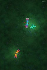 Screenshot 13: Cat Toy - Game for Cats