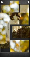 Screenshot 20: Purring cats therapy - jigsaw puzzle