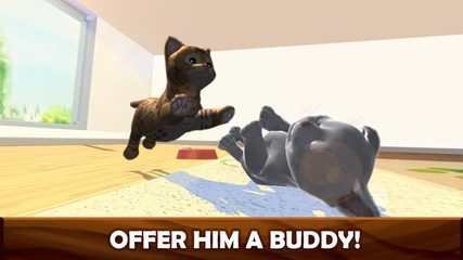 Screenshot 20: Daily Kitten : virtual cat pet