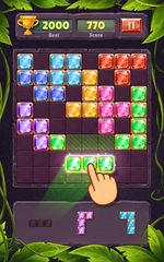 Screenshot 19: Block Puzzle