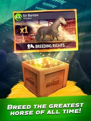Screenshot 16: Horse Racing Manager 2021