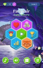 Screenshot 9: Find Pair. Super Memory