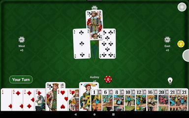 Screenshot 13: SHUA Tarot