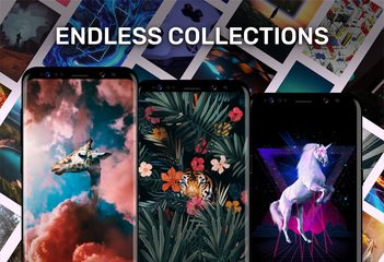 Screenshot 3: Walli - HD, 4K Wallpapers