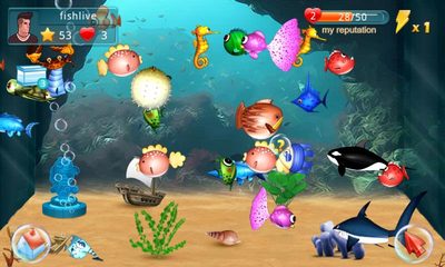 Screenshot 1: Fish Live