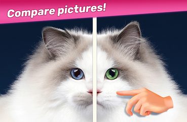Screenshot 20: Diff Master