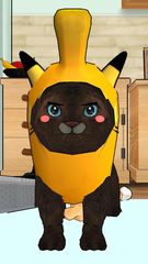 Screenshot 5: Macho Cat