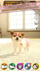 Screenshot 5: with My DOG