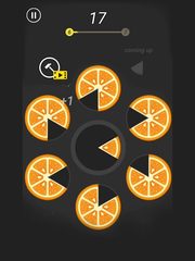 Screenshot 7: Slices