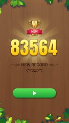 Screenshot 12: Block Puzzle: Wood Soduko Game