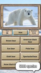 Screenshot 2: Animal Kingdom - Quiz Game