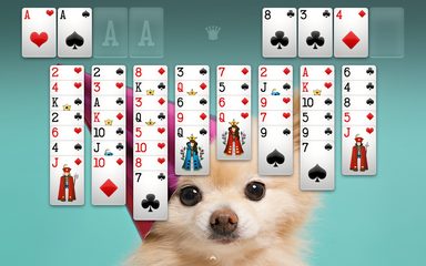 Screenshot 22: FreeCell Solitaire